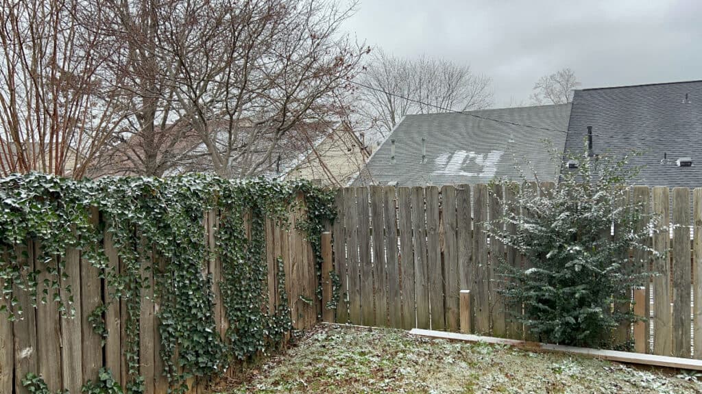 Aguanieve y nieve es lo que experimenta Memphis y el Medio Sur en este momento | by rodrigodominguez