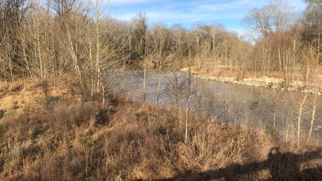 Hombre buscado por las autoridades saltó al Wolf River | Noticia by Memphis Noticias
