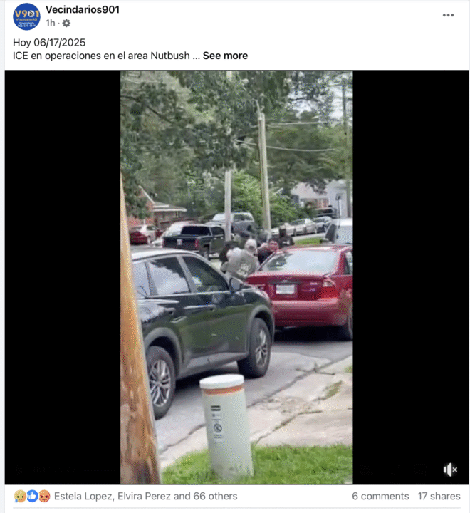 ICE realiza arrestos en Nutbush; comunidad inmigrante en alerta Screenshot 2025 06 17 at 10.37.38%E2%80%AFAM