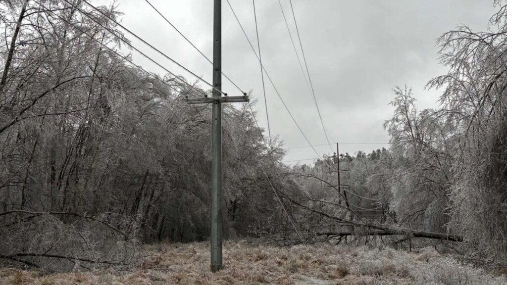 Tormenta invernal deja miles sin electricidad y severos daños en el Medio Sur | Untitled 1 262 | Memphis Noticias Tormenta invernal deja miles sin electricidad y severos daños en el Medio Sur | Noticia by rodrigodominguez