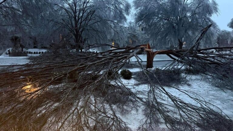 FEMA destina más de $36 millones a residentes de Tennessee afectados por la tormenta de hielo de enero