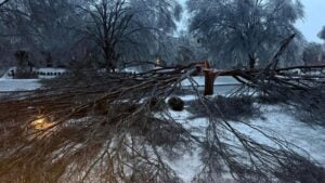 Memphis Noticias | Untitled 1 268 | Memphis Noticias Memphis Noticias | by rodrigodominguez