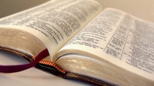 Memphis Noticias | Untitled 1 363 | Memphis Noticias Memphis Noticias | by rodrigodominguez