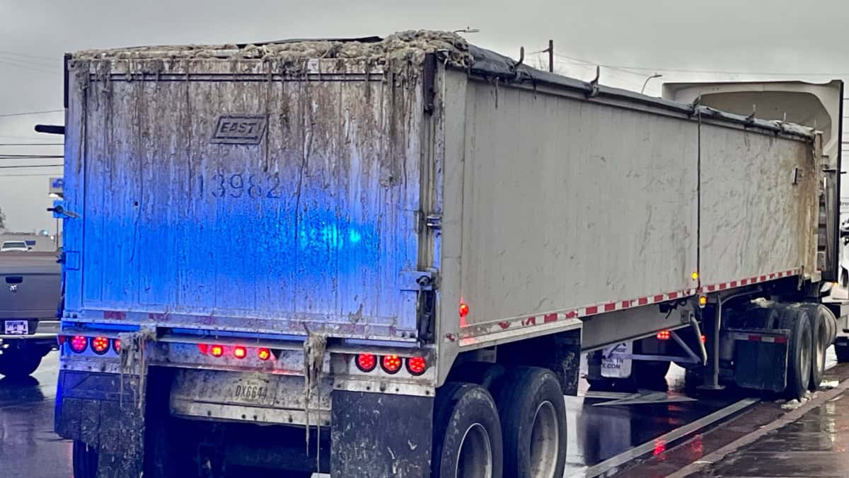Camión derrama subproductos de pollo en Highway 51 en Millington
