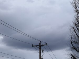 Memphis Noticias | IMG 3367 | Memphis Noticias Memphis Noticias | by Memphis Noticias