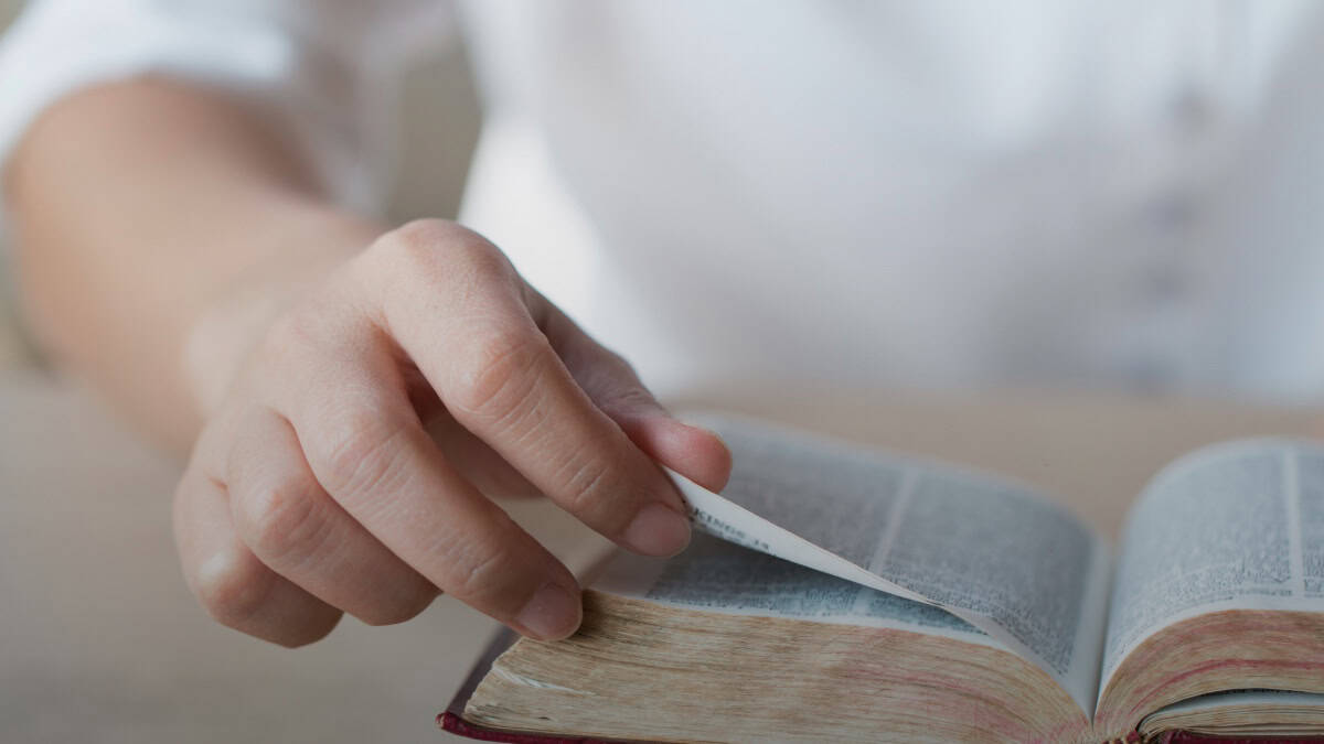 Junta de Educación de Texas aprueba lista de lectura obligatoria con pasajes bíblicos para escuelas públicas