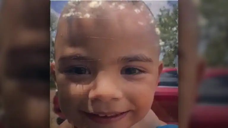 Hallan sin vida a niño de 3 años desaparecido en Memphis; investigan el caso y hay un detenido. at Memphis Noticias | 7 Hallan sin vida a niño de 3 años desaparecido en Memphis; investigan el caso y hay un detenido.