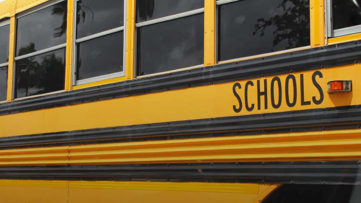 Autobús escolar amarillo con la palabra "SCHOOLS" en la parte superior. — memphisnoticias.com