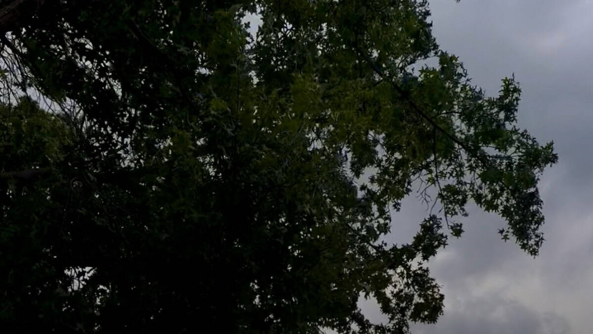 MLGW avanza en la restauración, pero nuevas tormentas podrían causar más cortes