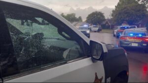 Memphis Noticias | Investigan muerte de nino de 5 anos tras disparo en el sureste de Shelby County hay un detenido | Memphis Noticias Memphis Noticias | by Memphis Noticias