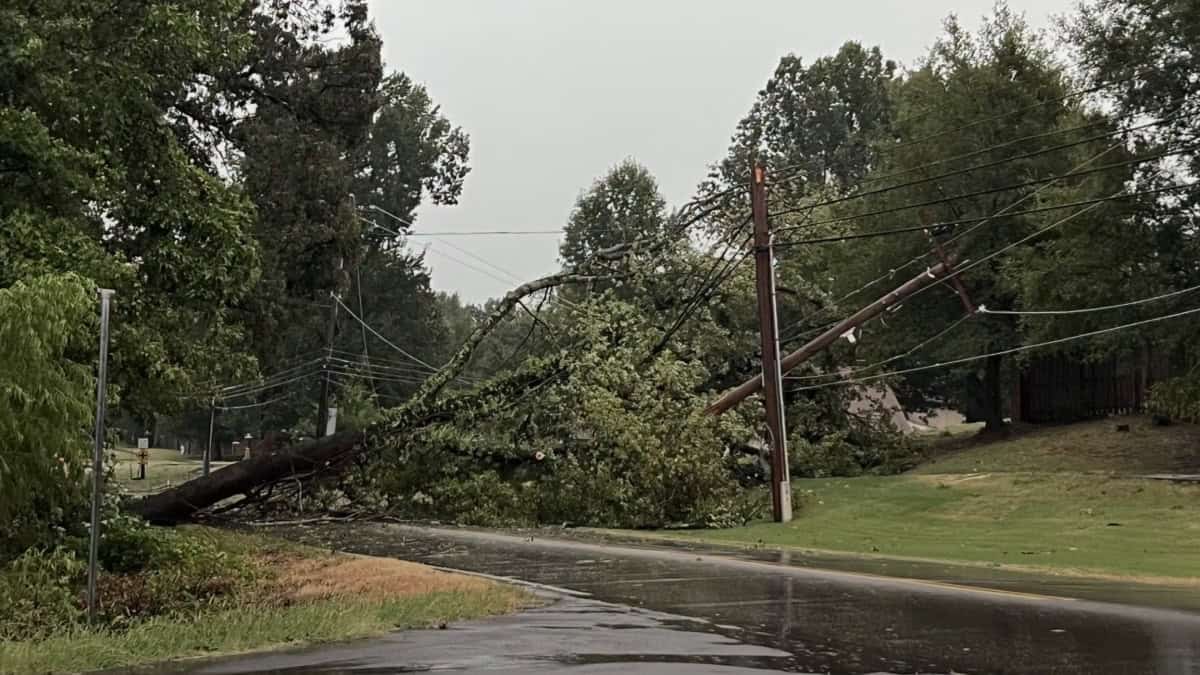 MLGW espera restaurar luz en Memphis para el jueves
