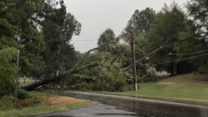 Memphis Noticias | by Memphis Noticias