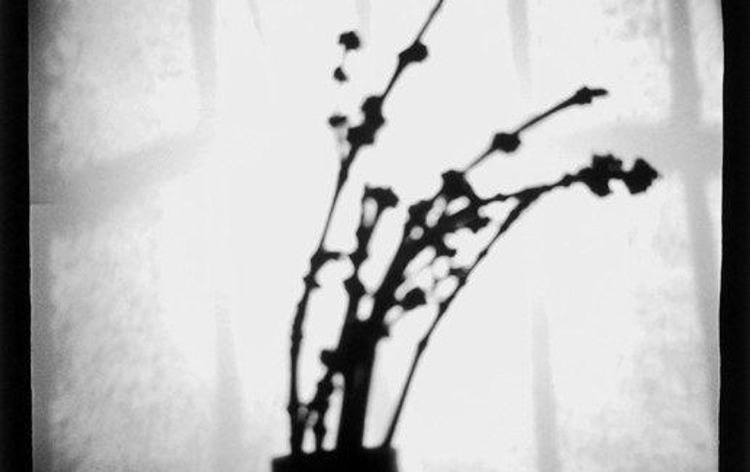 Ideas over lunch: capturing the “mystery of the ordinary”