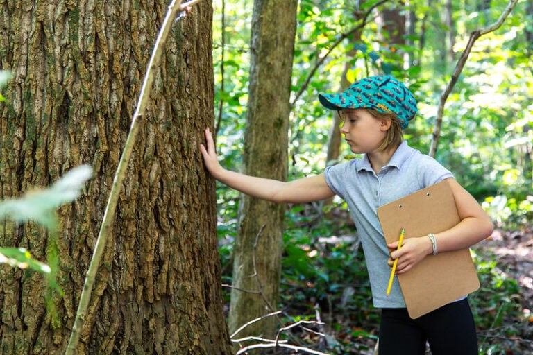 Events At Memphis Noticias | 28 Nature journaling para todas las edades