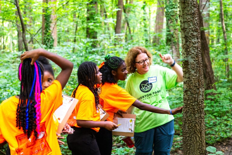 Orientación de volunteer ranger