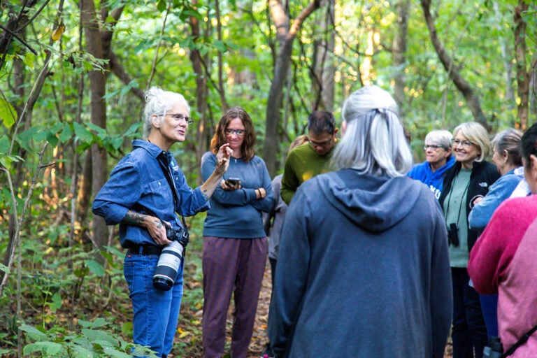 Field notes: caminata de mediodía