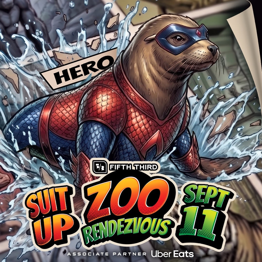 Lobo marino en el Memphis Zoo para la promoción de Zoo Rendezvous 2026