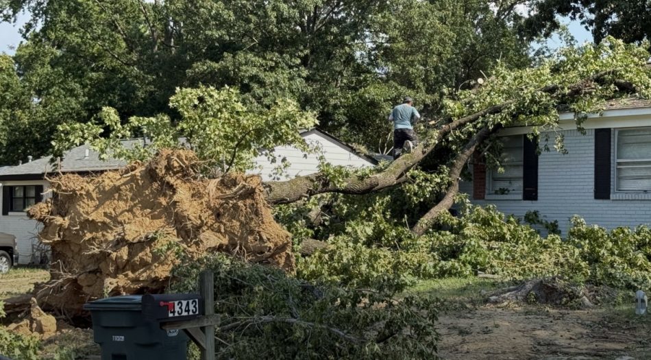 Ante los apagones, TIRRC organiza respuesta comunitaria para ayudar a familias afectadas por la tormenta