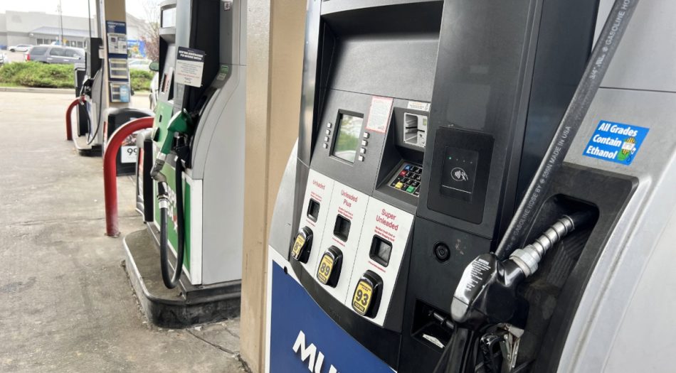 Estudiante de Memphis Business Academy sostiene cartel pidiendo justicia por Yasser en Memphis-1-15