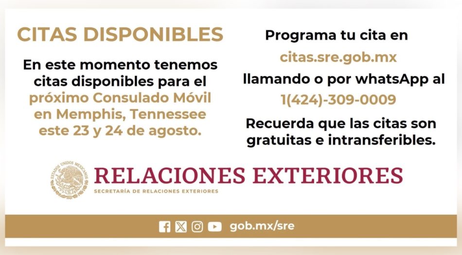 Memphis Noticias--2-Marco Yzaguirre-40