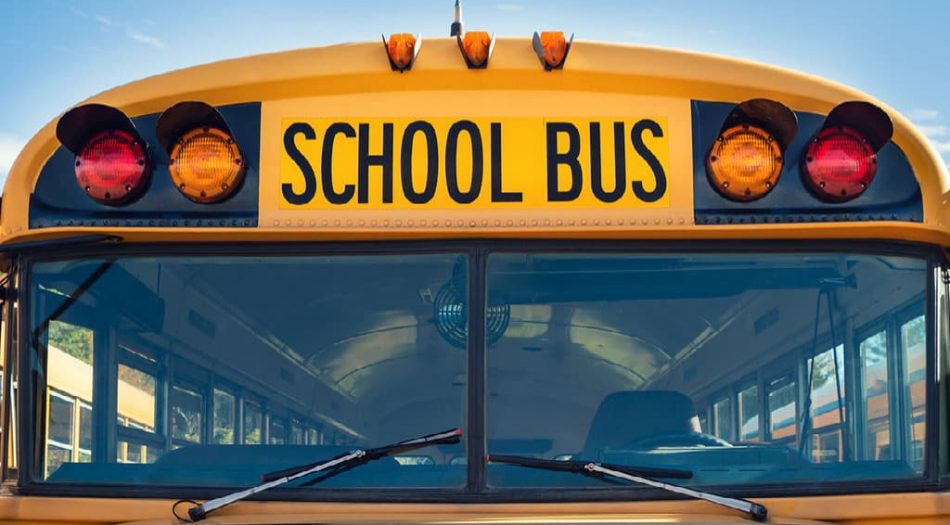 Schools Bus
